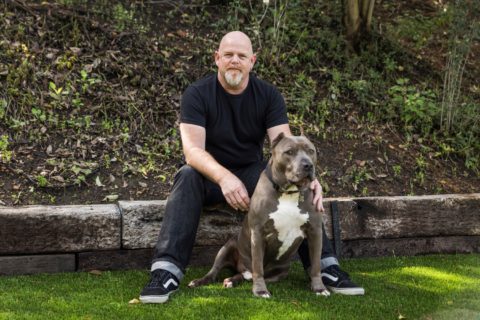 Don’t Buy a Pitbull